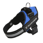 M for 13-23kg / Blue