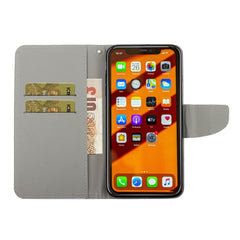 Colored Drawing Pattern Horizontal Flip Leather Case with Holder & Card Slots & Wallet, For iPhone 11