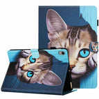 For iPad mini 2024 / mini 6 / Blue Cat