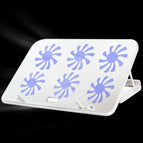 Style: Premium Edition(Lvory) / Lvory