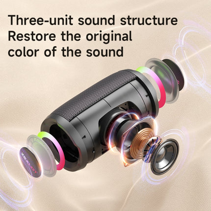 Zealot S61M RGB Rhythmic Light Karaoke Wireless Speaker, Single Mic, Dual Mic