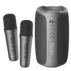 Dual Mic