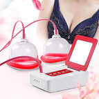 Ordinary Paragraph / A Cup