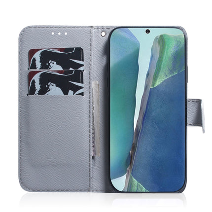 Coloured Drawing Horizontal Flip Leather Case, with Holder & Card Slots & Wallet, For Samsung Galaxy Note 20, For Samsung Galaxy Note 20 Ultra