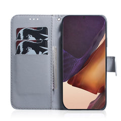 Coloured Drawing Horizontal Flip Leather Case, with Holder & Card Slots & Wallet, For Samsung Galaxy Note 20 Ultra