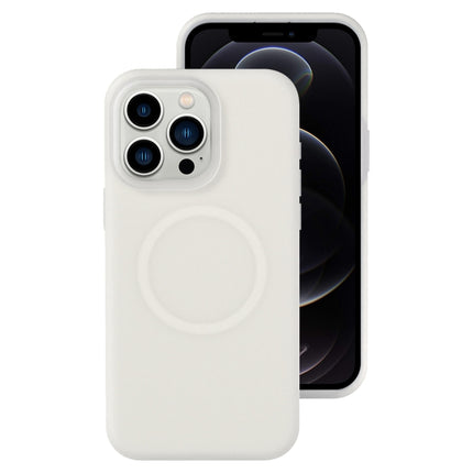 Jelly Liquid Silicone MagSafe Magnetic Phone Case, For iPhone 12 Pro, For iPhone 11 Pro Max