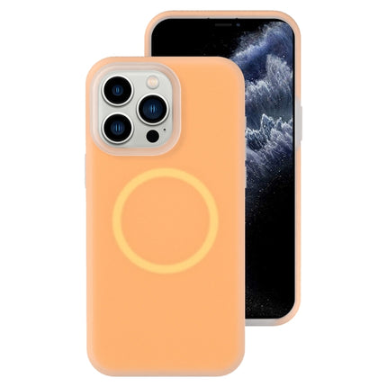 Jelly Liquid Silicone MagSafe Magnetic Phone Case, For iPhone 11, For iPhone 11 Pro