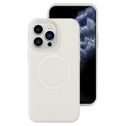 Jelly Liquid Silicone MagSafe Magnetic Phone Case, For iPhone 11, For iPhone 11 Pro