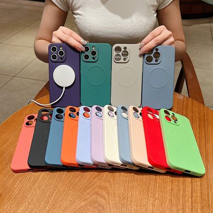 Solid Color Liquid Silicone MagSafe Magnetic Phone Case, For iPhone 12 Pro