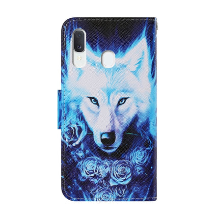 Coloured Drawing Pattern Horizontal Flip PU Leather Case with Holder & Card Slots & Wallet & Lanyard, For Samsung Galaxy A20e