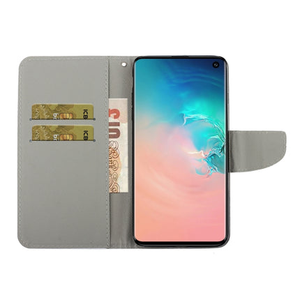 Coloured Drawing Pattern Horizontal Flip PU Leather Case with Holder & Card Slots & Wallet & Lanyard, For Samsung Galaxy S10e