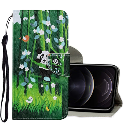 Coloured Drawing Pattern Horizontal Flip PU Leather Case with Holder & Card Slots & Wallet & Lanyard, For iPhone 12 / 12 Pro
