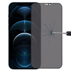 For iPhone 12 Pro Max (1 PC)