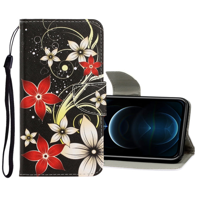3D Colored Drawing Horizontal Flip PU Leather Case with Holder & Card Slots & Wallet, For iPhone 12 Pro Max