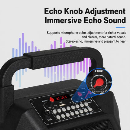 K6S Outdoor Portable Wireless Bluetooth Speaker with 2pcs Microphone, with 2pcs Microphone