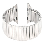 For Apple Watch Series 7 45mm / 6 & SE & 5 & 4 44mm / 3 & 2 & 1 42mm / Silver