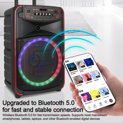N-625 Outdoor Karaoke 12-inch Woofer RGB Portable Trolley Bluetooth Speaker with Dual Wireless Mic, US Plug, EU Plug, UK Plug