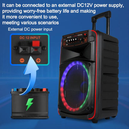 N-625 Outdoor Karaoke 12-inch Woofer RGB Portable Trolley Bluetooth Speaker with Dual Wireless Mic, US Plug, EU Plug, UK Plug