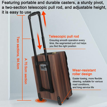 N-810 Outdoor Karaoke 8-inch Woofer RGB Trolley Bluetooth Speaker with Dual Wireless Mic, US Plug, EU Plug, UK Plug
