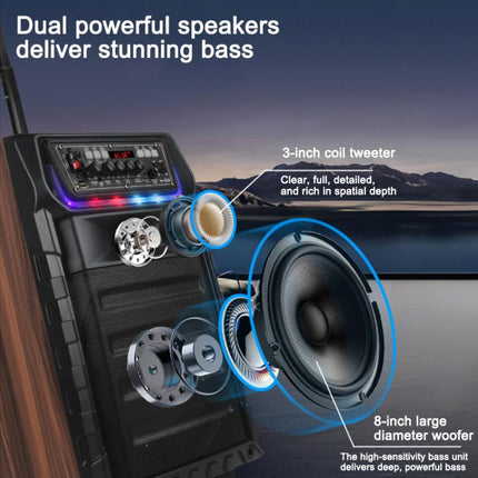 N-810 Outdoor Karaoke 8-inch Woofer RGB Trolley Bluetooth Speaker with Dual Wireless Mic, US Plug, EU Plug, UK Plug