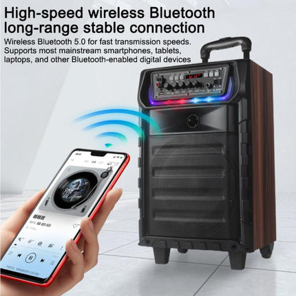 N-810 Outdoor Karaoke 8-inch Woofer RGB Trolley Bluetooth Speaker with Dual Wireless Mic, US Plug, EU Plug, UK Plug