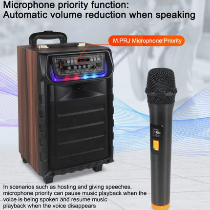 N-810 Outdoor Karaoke 8-inch Woofer RGB Trolley Bluetooth Speaker with Dual Wireless Mic, US Plug, EU Plug, UK Plug