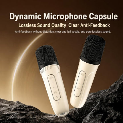 ZGA PZ010 Portable Dual Mic Karaoke Bluetooth Speaker