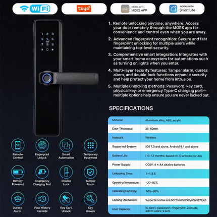 WDL-B2 WiFi Graffiti Smart Entrance Door Fingerprint Password Lock, without Lock Body