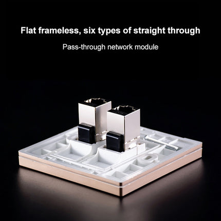 CAT.6 Shielded Pass-through Network Module, Dual Ports Panel + Shielded Pass-through, Dual Ports Panel+Shielded Pass-through