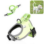 Size: S / Green