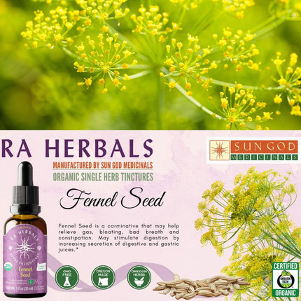 Organic Fennel Seed Tincture for BREAST MILK PRODUCTION, MENOPAUSE, KIDNEY, GASTROINTESTINAL