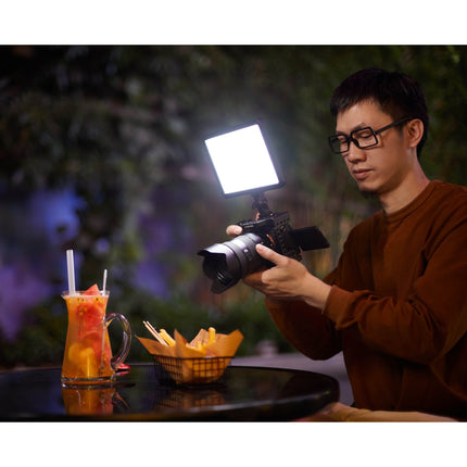 LDP18D Daylight-Balanced On-Camera LED Light