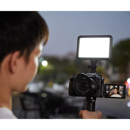 LDP8D Daylight-Balanced On-Camera LED Light