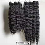 burmese curly / 8 Inches