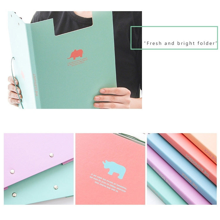 Creative Stationery Lovely Animal A4 Folder Test Paper Plate Holder School  Office Supplies, Random Color Delivery