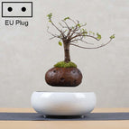 Soil Color EU Plug / HC0262F
