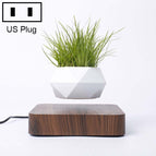 Dark Wood Grain US Plug / HC0265A