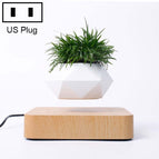 Light Wood Grain US Plug / HC0265B