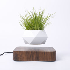 Diamond Plastic Flower Pot + Dark Wood Grain Base Magnetic Levitation Potted Plant Home Decoration, EU Plug