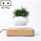 Light Wood Grain EU Plug / HC0266B