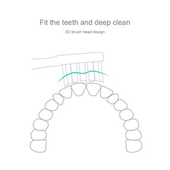 3 PCS Original Xiaomi Mijia Regular Replacement Brush Heads for Xiaomi Ultrasonic Electric Toothbrush (HC6109), Brush Heads Green