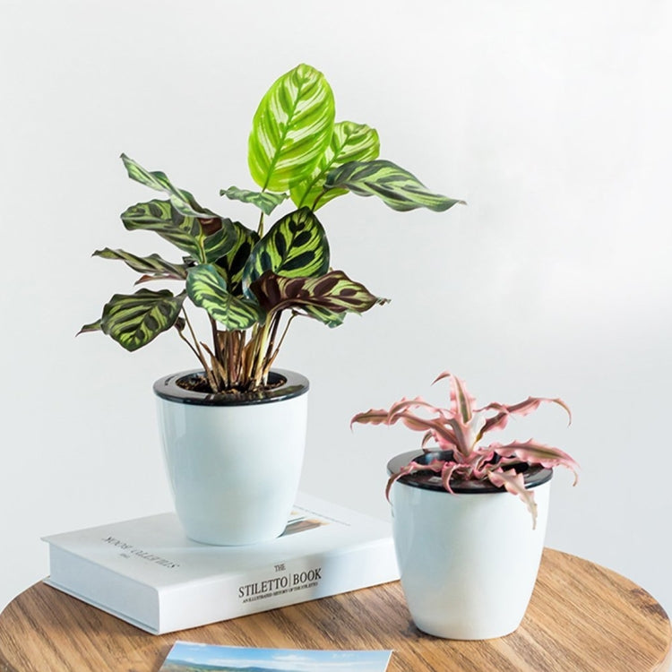 Lazy Flower Pots Automatic Water-absorbing Hydroponic Potted Plants Circular Resin Plastic Flower Pots Double-layer Design Self Watering Planter, Diameter: 12cm, Height: 12.2cm