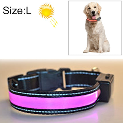 Medium and Large Dog Pet Solar + USB Charging LED Light Collar, Neck Circumference Size: L, 50-60cm