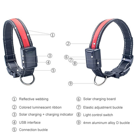 Medium and Large Dog Pet Solar + USB Charging LED Light Collar, Neck Circumference Size: L, 50-60cm, Size: L