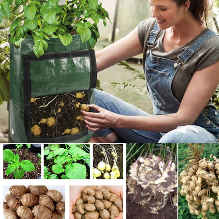 2 PCS 7 Gallons Potato Planting PE Bags Woven Fabric Bags Cultivation Garden Pots Vegetable Planting Bags Grow Bags Farm Garden Supplies, Green, Black, Orange, Yellow