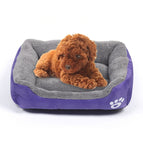 Size: XXL / Purple