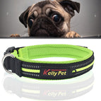 Size: L, 2.5*47*54cm / Green