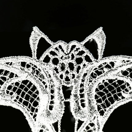 Halloween Masquerade Party Dance  Sexy Lady Lace Bat Mask, Bat