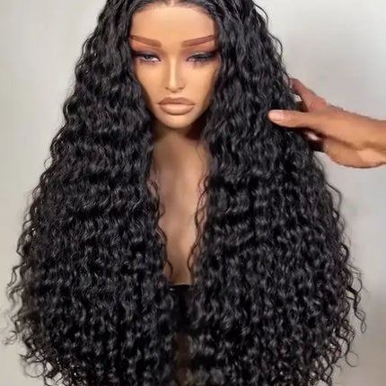 Raw Indian Hair HD Lace Front Wig Virgin Cuticle Aligned Glueless Full Lace Human Hair Wig Lace Frontal Wigs for Black Women