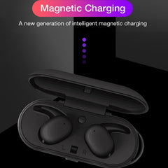 DT-7 IPX Waterproof Bluetooth 5.0 Wireless Bluetooth Earphone with 300mAh Magnetic Charging Box, Support Call, DT-7